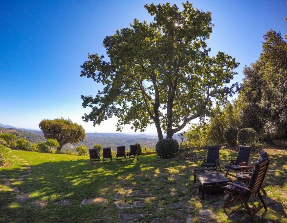Domaine Du Bois D'Amont Apartment Cabris Luaran gambar